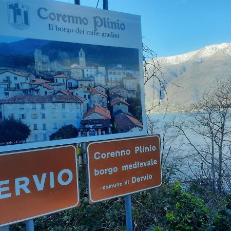 Al Castello Lejlighed Dervio Eksteriør billede